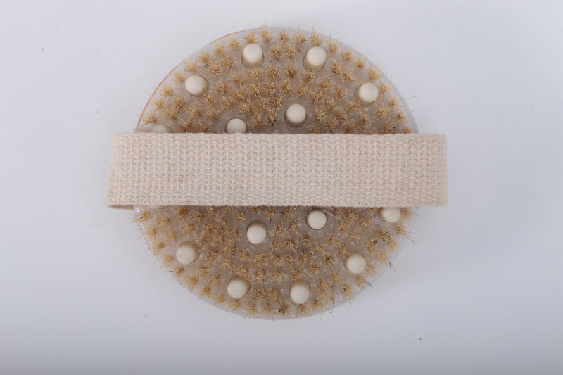 PETWIT Combs for animals